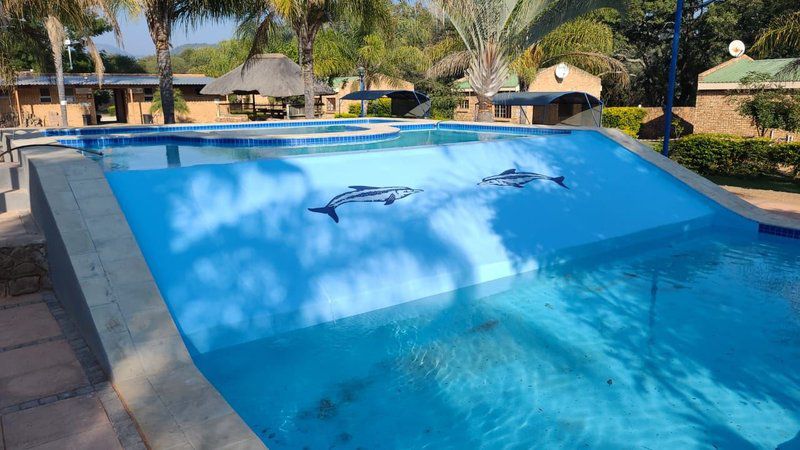 De Villa Resort Loskop Dam Mpumalanga South Africa Dolphin, Marine Animal, Animal, Predator, Swimming Pool