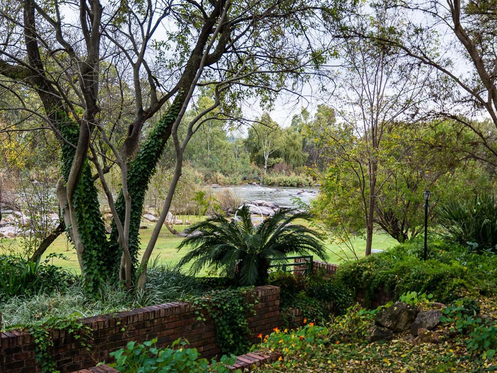 Devondale Guesthouse And Function Venue Parys Free State South Africa Palm Tree, Plant, Nature, Wood, Garden