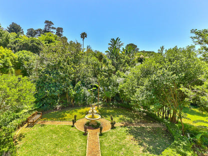 Devonport House - Constantia, Colorful, Palm Tree, Plant, Nature, Wood, Garden