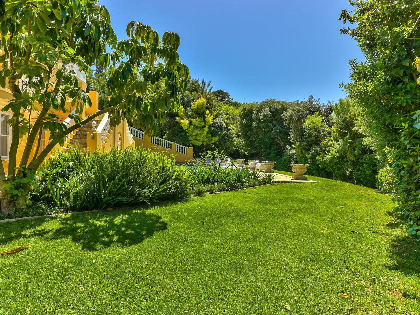 Devonport House - Constantia, Colorful, Plant, Nature, Garden