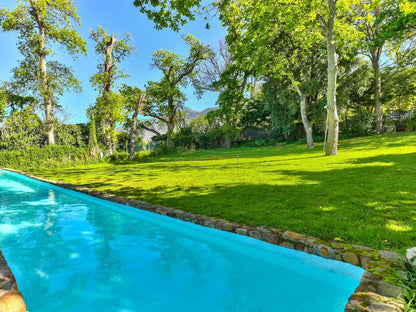 Devonport House - Constantia, Colorful, Garden, Nature, Plant, Swimming Pool