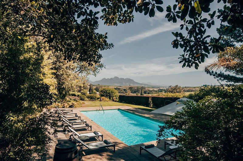 Devon Valley Hotel Stellenbosch Western Cape South Africa Garden, Nature, Plant, Swimming Pool