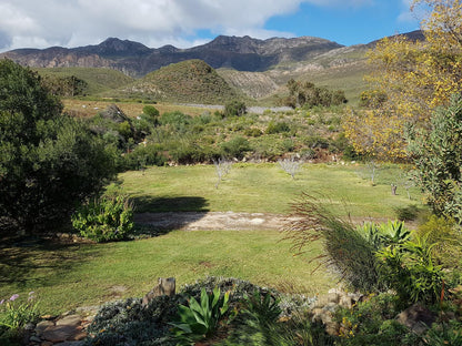 Dew Cottages Montagu Western Cape South Africa Cactus, Plant, Nature, Garden