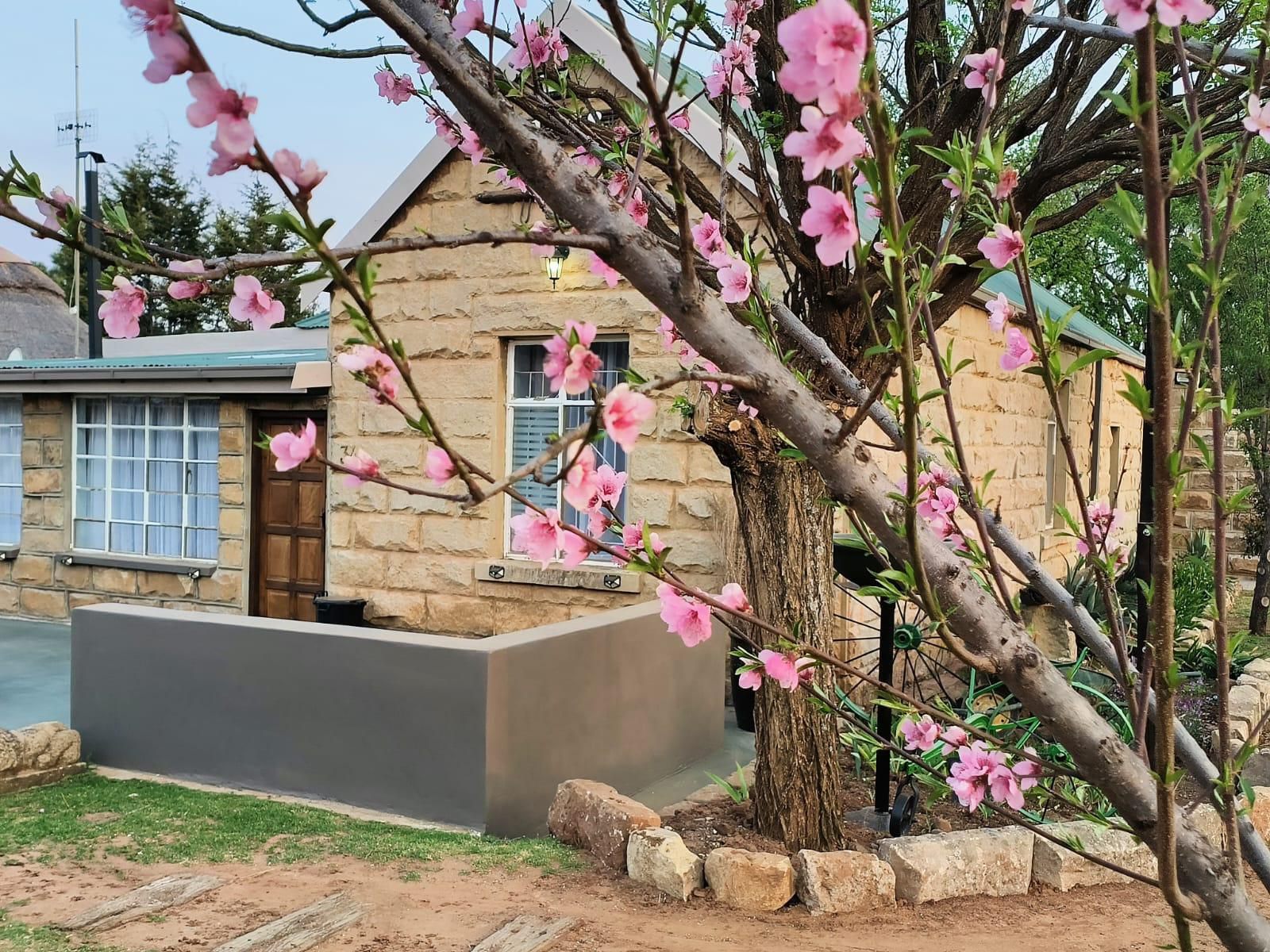 Di Plaas Opstal, Blossom, Plant, Nature, House, Building, Architecture