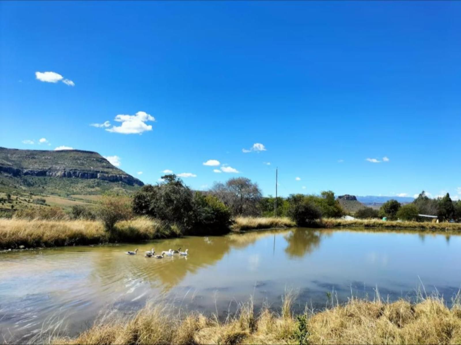 Di Plaaswerf, River, Nature, Waters