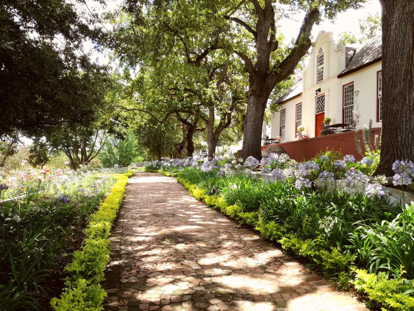 Diamant Estate Paarl Western Cape South Africa House, Building, Architecture, Plant, Nature, Garden