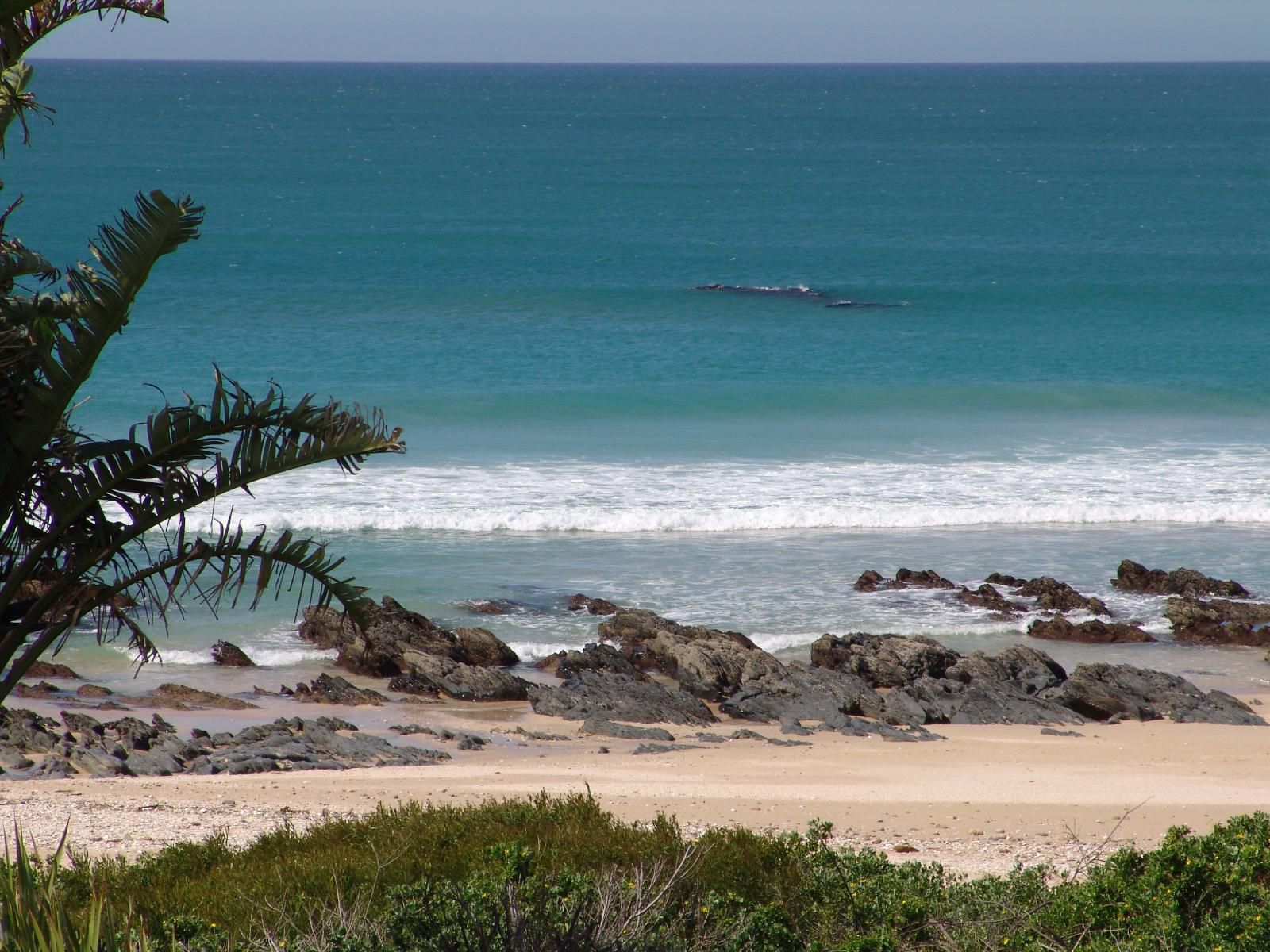 Diaz 15 House On The Bay Jeffreys Bay Eastern Cape South Africa Beach, Nature, Sand, Ocean, Waters