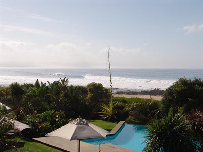 Diaz 15 House On The Bay Jeffreys Bay Eastern Cape South Africa Beach, Nature, Sand, Palm Tree, Plant, Wood, Ocean, Waters