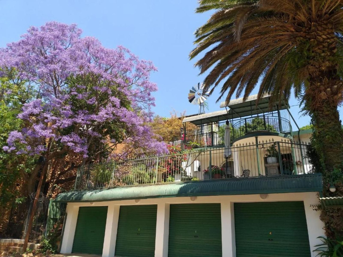 Agterplaas Bandb Melville Johannesburg Gauteng South Africa House, Building, Architecture, Palm Tree, Plant, Nature, Wood