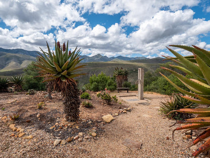 Die Beloofde Land Uniondale Western Cape South Africa Complementary Colors, Cactus, Plant, Nature