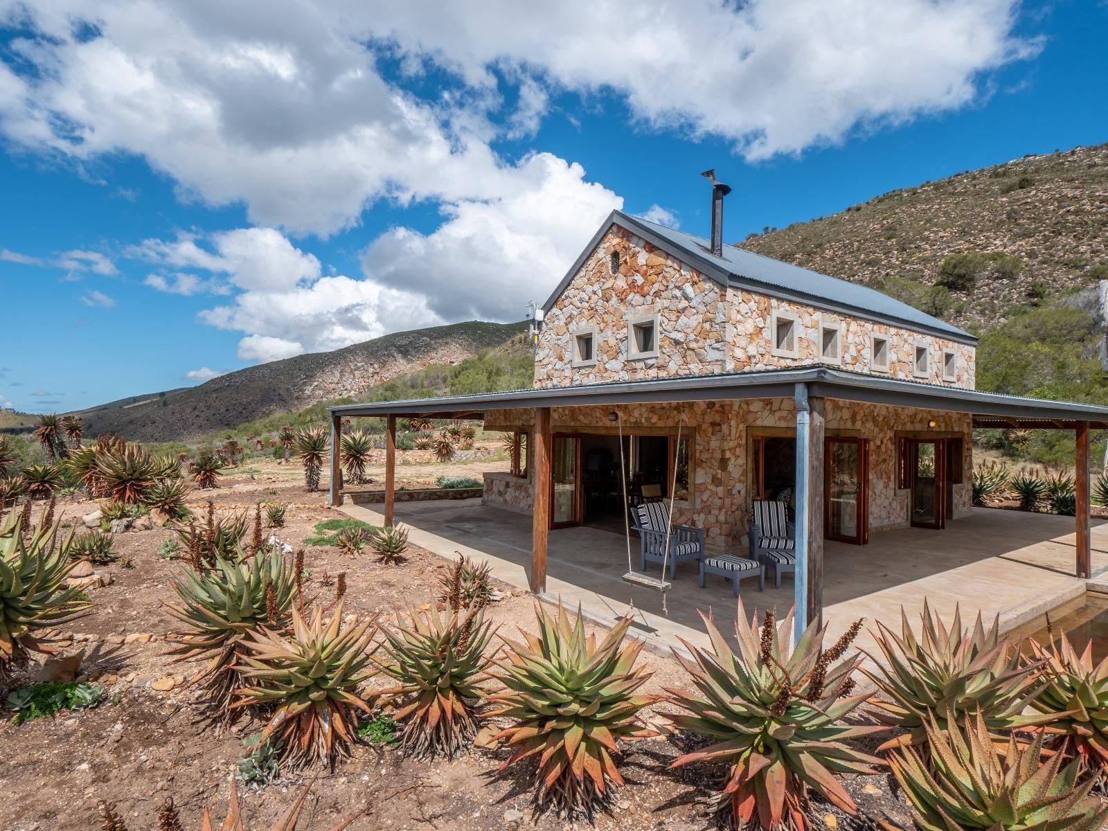 Die Beloofde Land Uniondale Western Cape South Africa Complementary Colors, Cactus, Plant, Nature, Bar