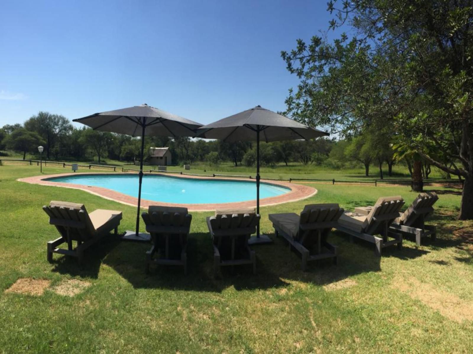 Die Boer En Die Belg, Private Bush Camp, Swimming Pool