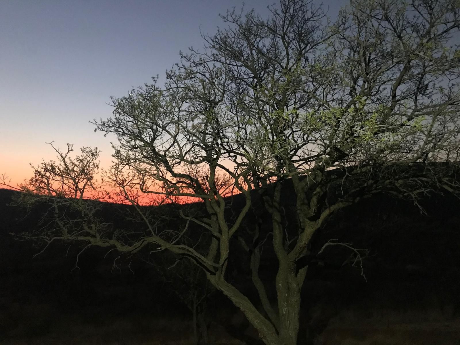 Die Boshuis Parys Free State South Africa Sky, Nature, Framing, Sunset