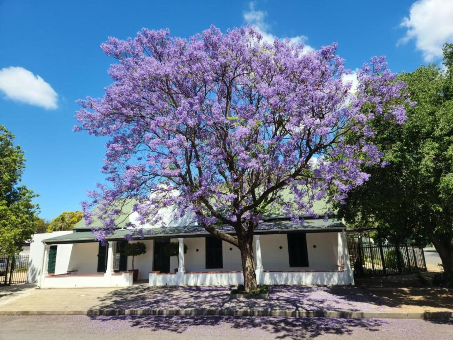 Die Dorpshuis Graaff Reinet