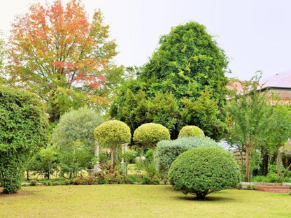 Die Kliphuis Standerton Mpumalanga South Africa Plant, Nature, Tree, Wood, Garden