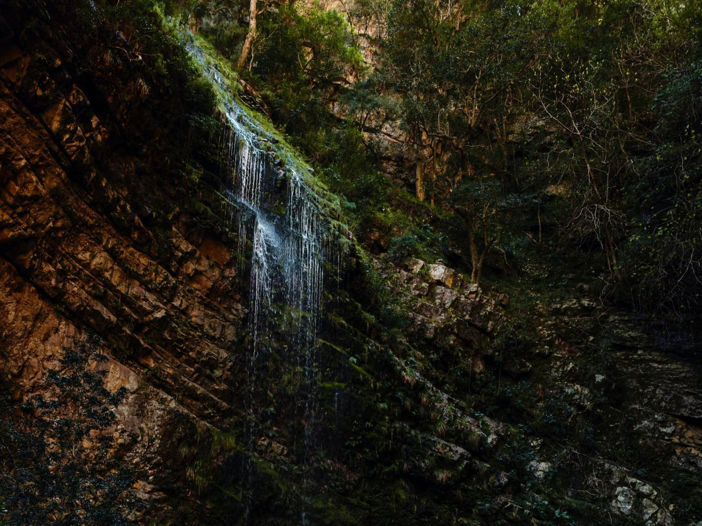 Die Laaitjie, Forest, Nature, Plant, Tree, Wood, Waterfall, Waters