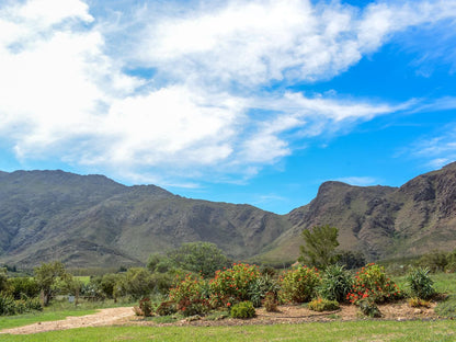 Die Ou Huis Ashton Western Cape South Africa Complementary Colors, Highland, Nature