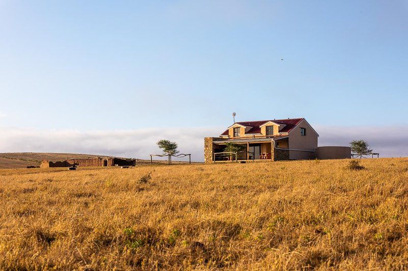 Die Rooidakhuis Swellendam Western Cape South Africa Complementary Colors, Colorful, Building, Architecture, Field, Nature, Agriculture