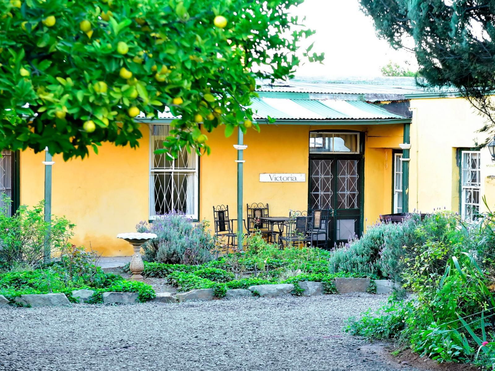 Die Tuishuise And Victoria Manor Cradock Eastern Cape South Africa Complementary Colors, House, Building, Architecture