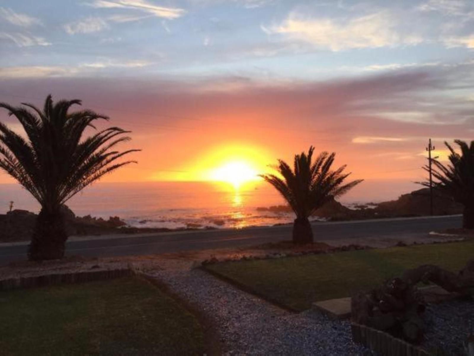 Die Anker Guest House Doringbaai Western Cape South Africa Beach, Nature, Sand, Palm Tree, Plant, Wood, Sky, Sunset