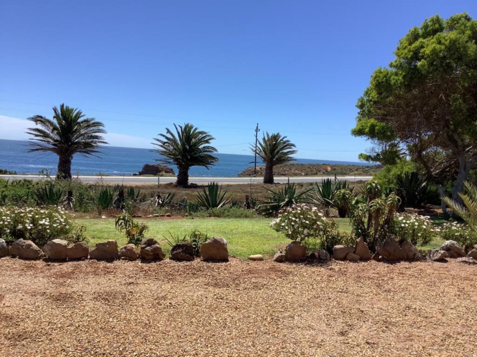 Die Anker Guest House Doringbaai Western Cape South Africa Complementary Colors, Beach, Nature, Sand, Palm Tree, Plant, Wood