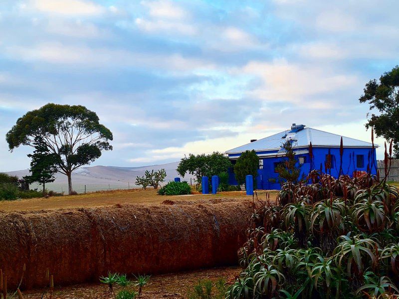 Die Blouhuis Farmhouse Retreat Malgas Western Cape South Africa 