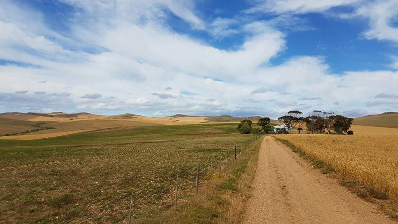 Die Blouhuis Farmhouse Retreat Malgas Western Cape South Africa Complementary Colors, Field, Nature, Agriculture, Lowland, Street