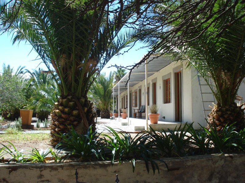 Die Blou Nartjie Guesthouse And Restaurant Calvinia Northern Cape South Africa House, Building, Architecture, Palm Tree, Plant, Nature, Wood