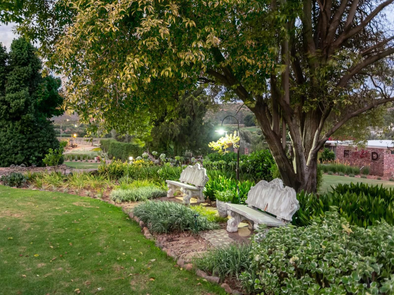 Die Fonteine Guesthouse Oudtshoorn Western Cape South Africa Plant, Nature, Garden