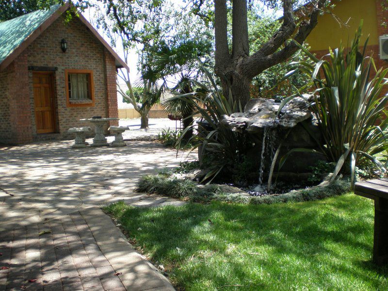 Die Groen Koei Bethal Mpumalanga South Africa Palm Tree, Plant, Nature, Wood