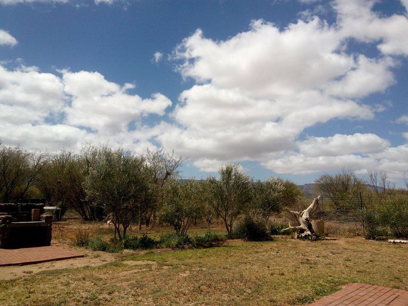 Die Hok Bachelor Flats Calvinia Northern Cape South Africa Complementary Colors, Cactus, Plant, Nature