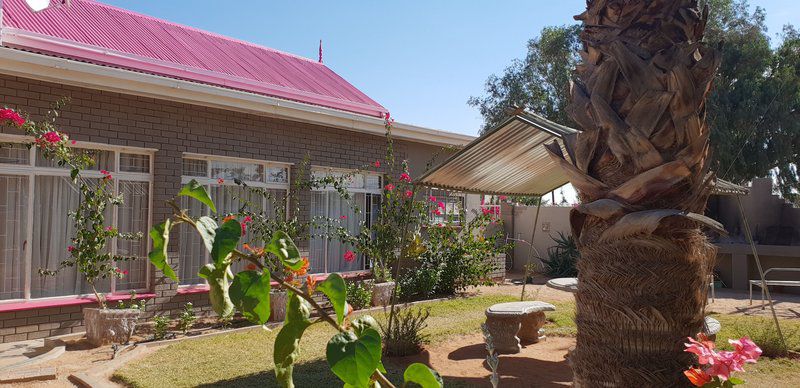 Die Kambrokind Guesthouse Kenhardt Northern Cape South Africa House, Building, Architecture, Palm Tree, Plant, Nature, Wood