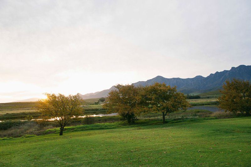 Die Ponthuis Greyton Western Cape South Africa Highland, Nature