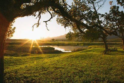 Die Ponthuis Greyton Western Cape South Africa Nature, Sunset, Sky