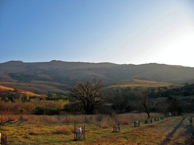 Die Rots Guesthouse Schoemanskloof Mpumalanga South Africa Tree, Plant, Nature, Wood, Highland