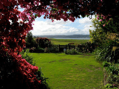 Dieu Donne Cottage Leisure Island Knysna Western Cape South Africa Plant, Nature, Garden