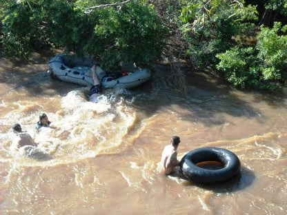 Die Watergat Burgersfort Limpopo Province South Africa Boat, Vehicle, Canoe, Reptile, Animal, River, Nature, Waters, Water Buffalo, Mammal, Herbivore