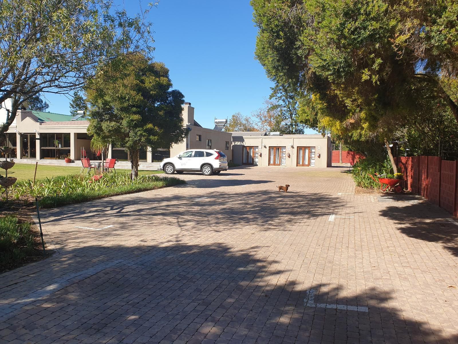 Dilisca Guesthouse Durbanville Cape Town Western Cape South Africa House, Building, Architecture, Palm Tree, Plant, Nature, Wood