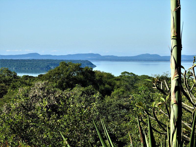 Dinizulu Cottage Hluhluwe Kwazulu Natal South Africa Complementary Colors, Island, Nature