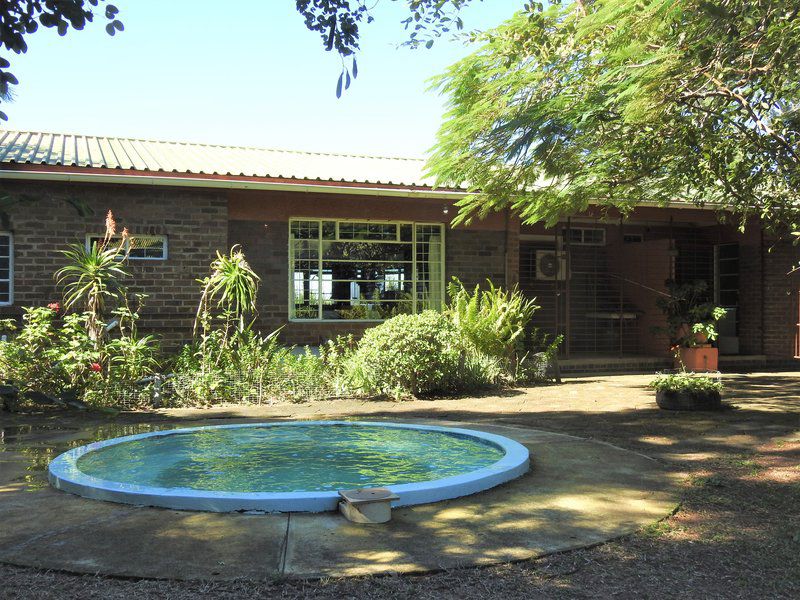 Dinizulu Cottage Hluhluwe Kwazulu Natal South Africa House, Building, Architecture, Garden, Nature, Plant, Swimming Pool