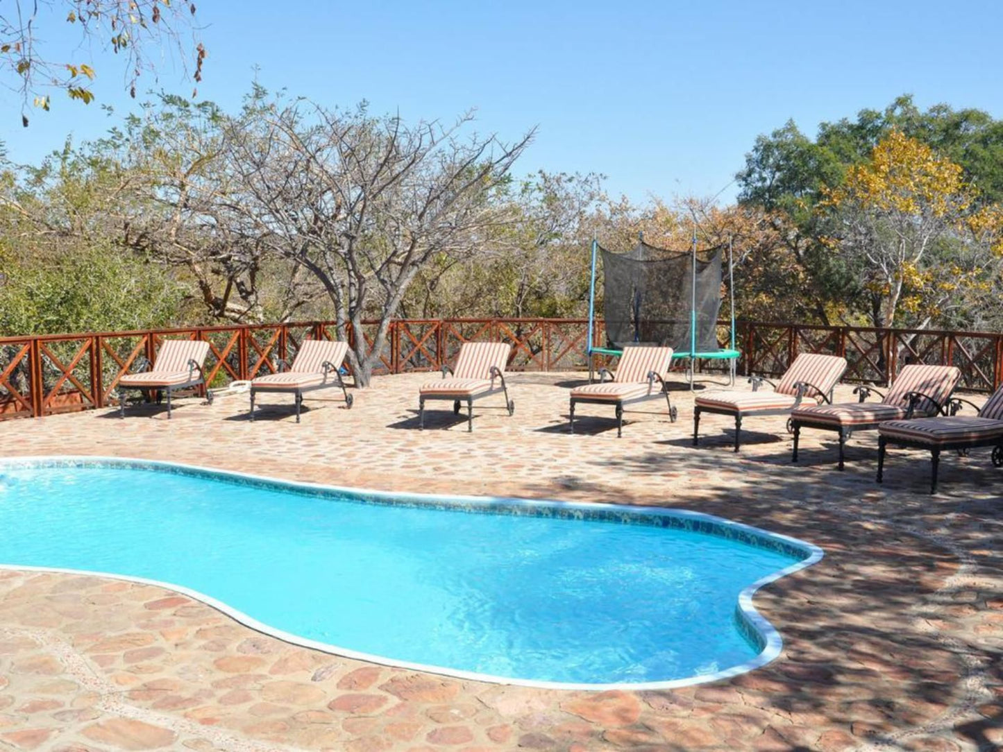 Dinkweng Safari Camp Vaalwater Limpopo Province South Africa Complementary Colors, Swimming Pool