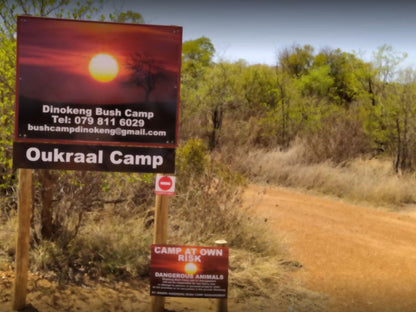 Dinokeng Bush Camp Dinokeng Game Reserve Gauteng South Africa 