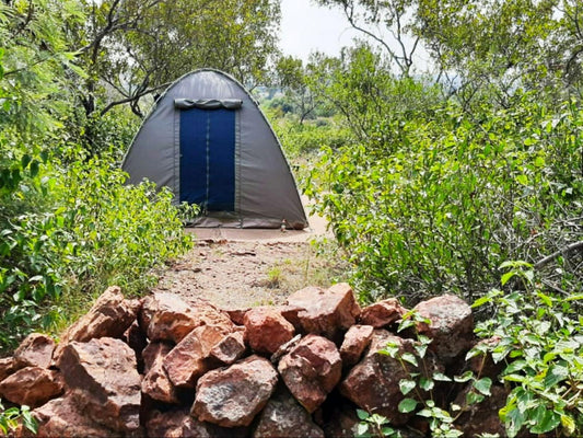 Private Camp - Camp Plots @ Dinokeng Bush Camp