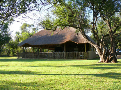 Dinonyane Bush Lodge Dinokeng Gauteng South Africa 