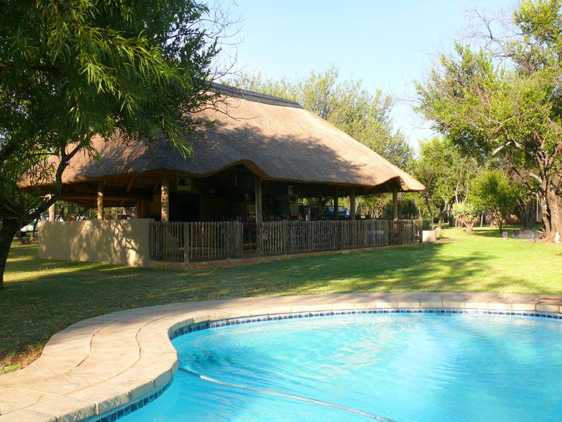 Dinonyane Bush Lodge Dinokeng Gauteng South Africa Complementary Colors, Swimming Pool