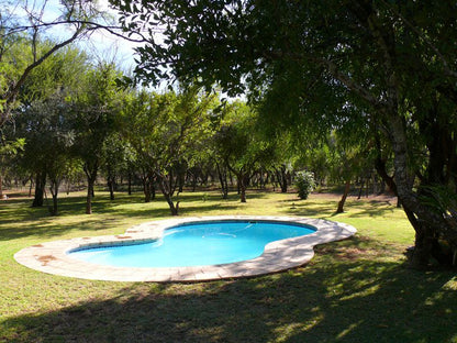 Dinonyane Bush Lodge Dinokeng Gauteng South Africa Swimming Pool