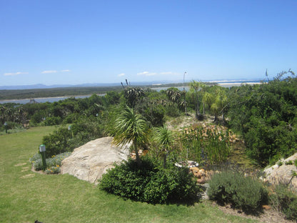 Dio Dell Amore Guest House Jeffreys Bay Eastern Cape South Africa Complementary Colors, Palm Tree, Plant, Nature, Wood