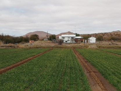 Ditsem Guest Farm Vaalkoppies Settlement Upington Northern Cape South Africa Field, Nature, Agriculture, Tractor, Vehicle, Lowland