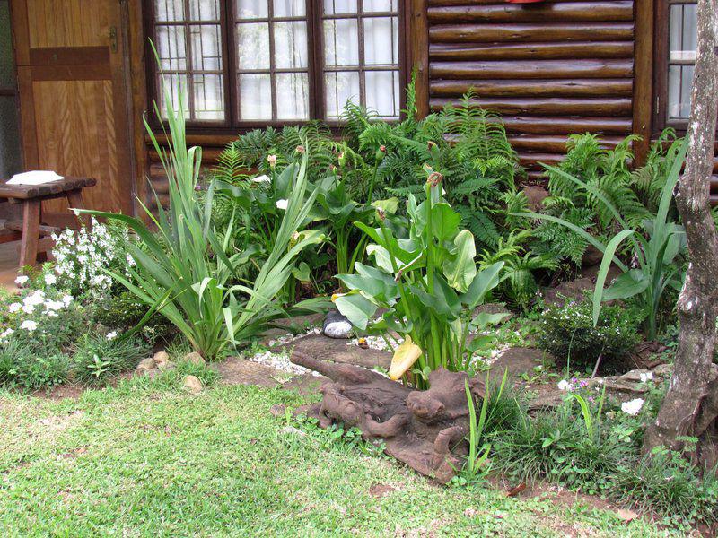 Plant, Nature, Garden, Dlinza Forest Accommodation, Eshowe, Eshowe