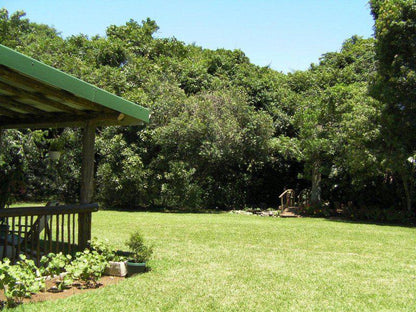 Plant, Nature, Tree, Wood, Garden, Dlinza Forest Accommodation, Eshowe, Eshowe